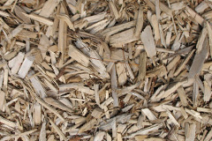 biomass boilers Pentlepoir
